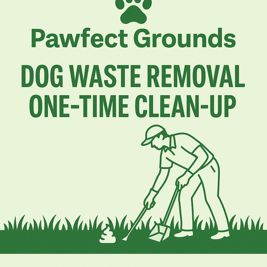 One Time Cleaning